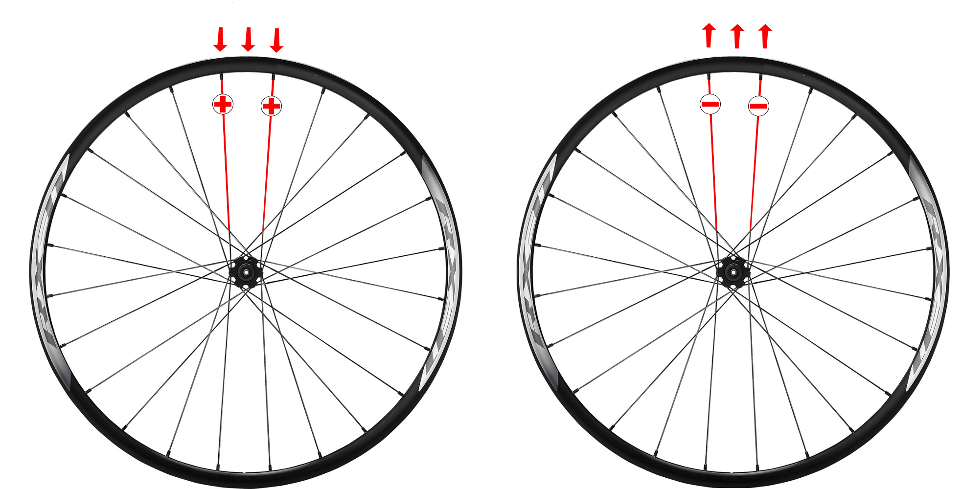 spokes in bicycle wheel