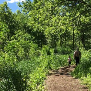 After walking through Springbrooke's Interpretative Center take a stroll down one of the many trails there.