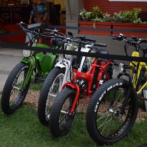 A selection of Team Fat Bikes at the Minnesota State Fair