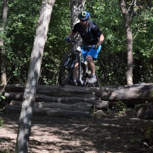 Here on the advanced trail in Lebanon Hills you will find some obstacles to challenge you.