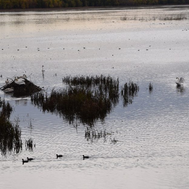 Minnesota River bottoms, a yearround trail network of fun