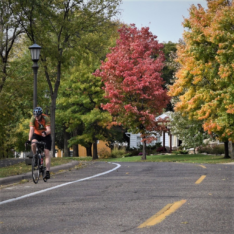 Fall color riding on a bike friendly road.