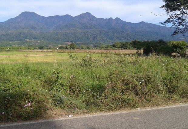 mexico4-view of mountains near Bucerias